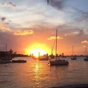 Meet your Posher, Leonardo